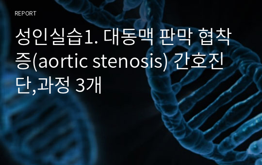 성인실습1. 대동맥 판막 협착증(aortic stenosis) 간호진단,과정 3개