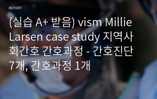 (실습 A+ 받음) vsim Millie Larsen case study 지역사회간호 간호과정 - 간호진단 7개, 간호과정 1개