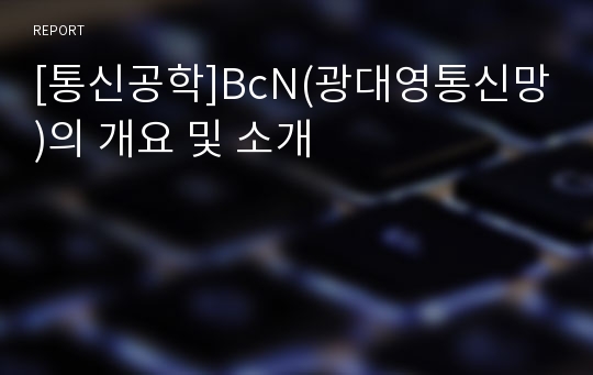[통신공학]BcN(광대영통신망)의 개요 및 소개