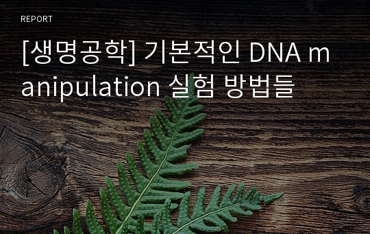 [생명공학] 기본적인 DNA manipulation 실험 방법들