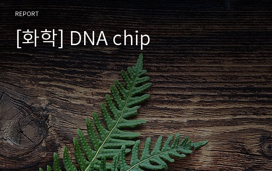 [화학] DNA chip