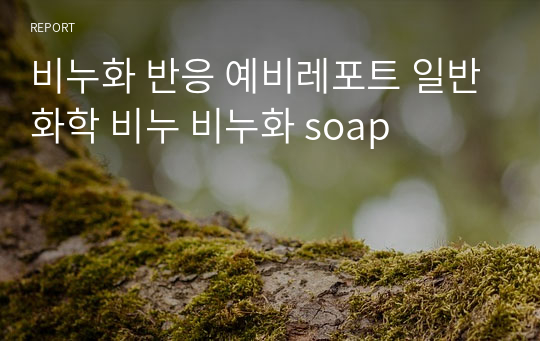 비누화 반응 예비레포트 일반화학 비누 비누화 soap