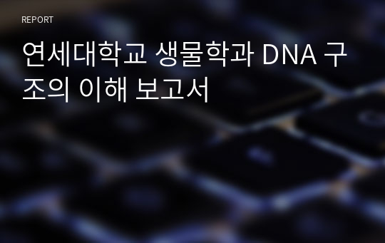 연세대학교 생물학과 DNA 구조의 이해 보고서