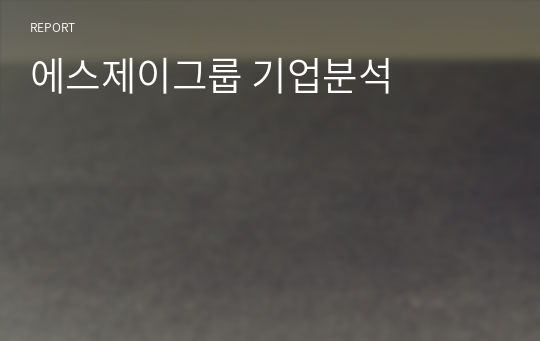 에스제이그룹 기업분석