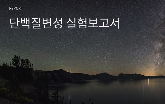 단백질변성 실험보고서