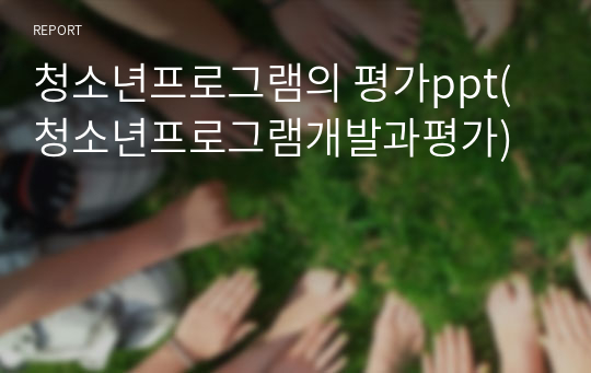 청소년프로그램의 평가ppt(청소년프로그램개발과평가)