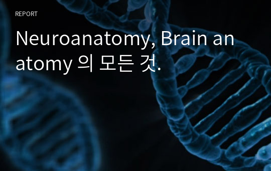 Neuroanatomy, Brain anatomy 의 모든 것.