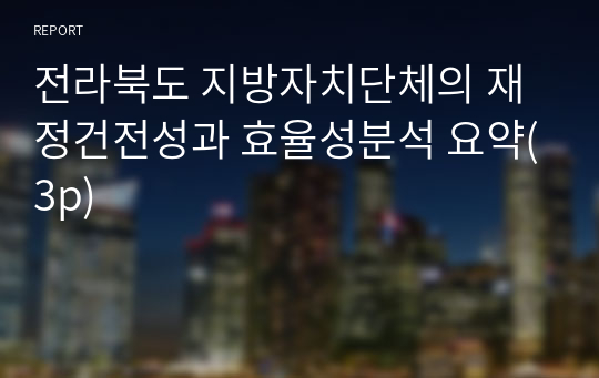 전라북도 지방자치단체의 재정건전성과 효율성분석 요약(3p)