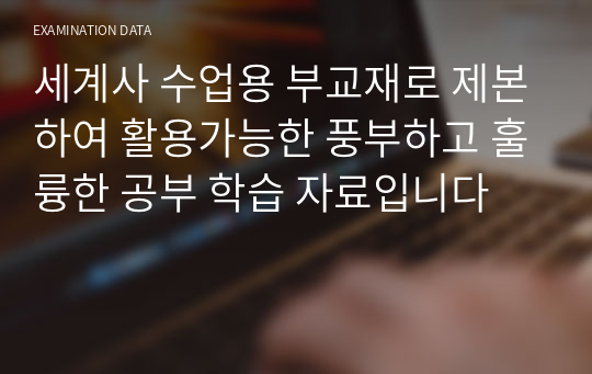 세계사 수업용 부교재로 제본하여 활용가능한 풍부하고 훌륭한 공부 학습 자료입니다