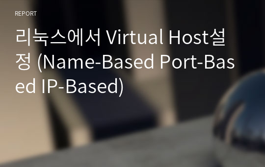 리눅스에서 Virtual Host설정 (Name-Based Port-Based IP-Based)