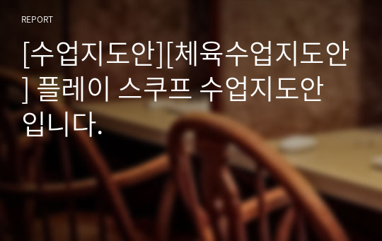 [수업지도안][체육수업지도안] 플레이 스쿠프 수업지도안입니다.