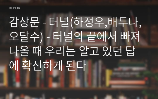 감상문 - 터널(하정우,배두나,오달수) - 터널의 끝에서 빠져나올 때 우리는 알고 있던 답에 확신하게 된다