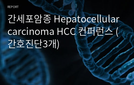 간세포암종 Hepatocellular carcinoma HCC 컨퍼런스 (간호진단3개)