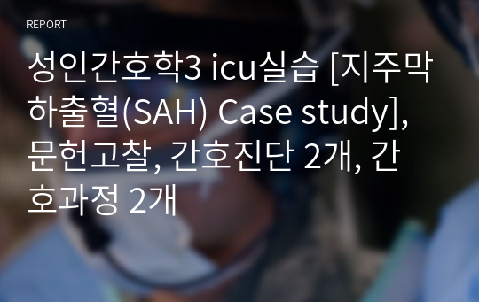 성인간호학3 icu실습 [지주막하출혈(SAH) Case study], 문헌고찰, 간호진단 2개, 간호과정 2개