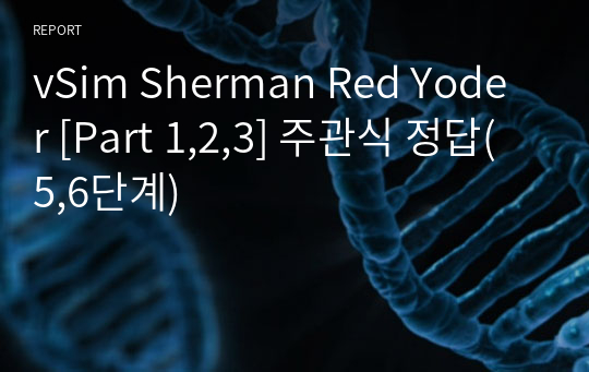 vSim Sherman Red Yoder [Part 1,2,3] 주관식 정답(5,6단계)