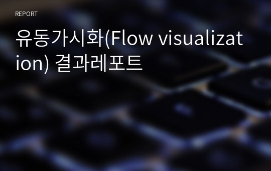 유동가시화(Flow visualization) 결과레포트
