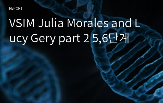 VSIM Julia Morales and Lucy Gery part 2 5,6단계