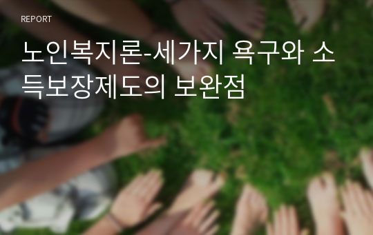 노인복지론-세가지 욕구와 소득보장제도의 보완점