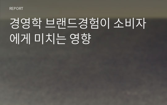 경영학 브랜드경험이 소비자에게 미치는 영향