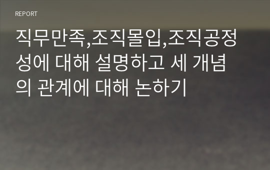 직무만족,조직몰입,조직공정성에 대해 설명하고 세 개념의 관계에 대해 논하기