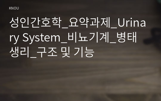 성인간호학_요약과제_Urinary System_비뇨기계_병태생리_구조 및 기능