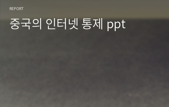 중국의 인터넷 통제 ppt