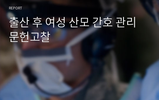 출산 후 여성 산모 간호 관리 문헌고찰