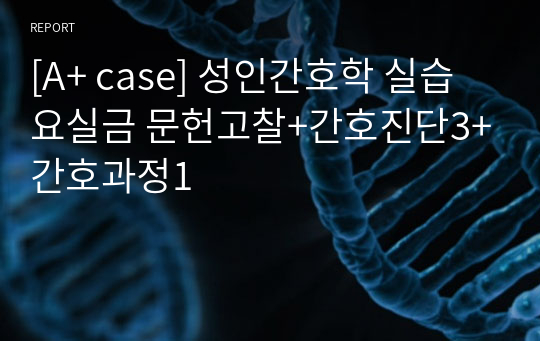 [A+ case] 성인간호학 실습 요실금 문헌고찰+간호진단3+간호과정1