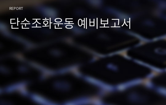 단순조화운동 예비보고서