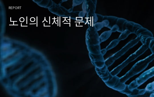 노인의 신체적 문제