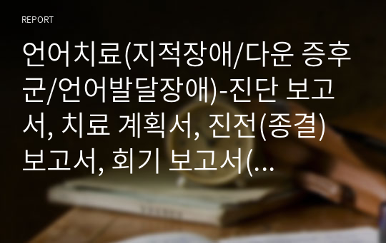 언어치료(지적장애/다운 증후군/언어발달장애)-진단 보고서, 치료 계획서, 진전(종결) 보고서, 회기 보고서(일지) 종합