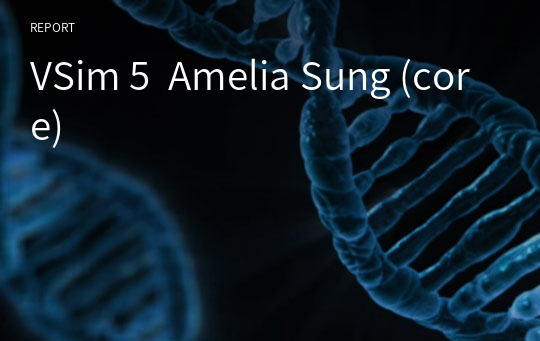 VSim 5  Amelia Sung (core)
