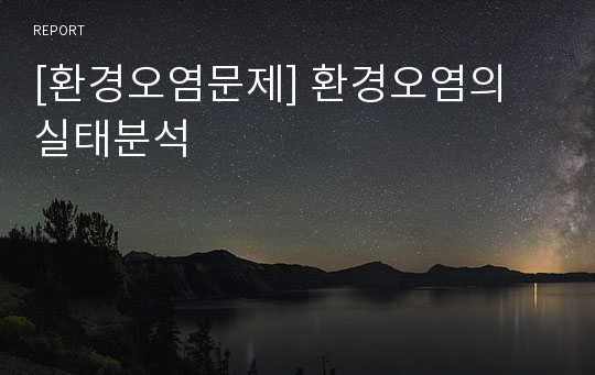 [환경오염문제] 환경오염의 실태분석