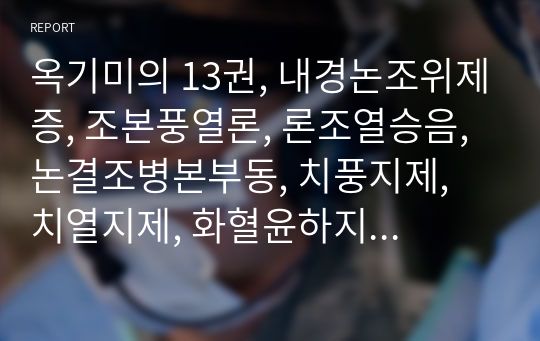 옥기미의 13권, 내경논조위제증, 조본풍열론, 론조열승음, 논결조병본부동, 치풍지제, 치열지제, 화혈윤하지제, 자음지제.hwp한문 및 한글번역 7페이지