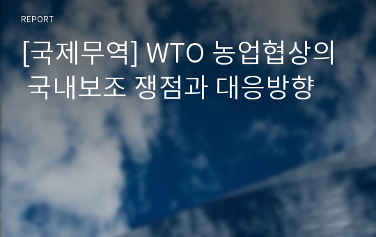 [국제무역] WTO 농업협상의 국내보조 쟁점과 대응방향