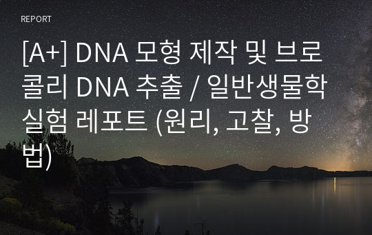 [A+] DNA 모형 제작 및 브로콜리 DNA 추출 / 일반생물학실험 레포트 (원리, 고찰, 방법)