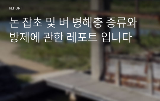 논 잡초 및 벼 병해충 종류와 방제에 관한 레포트 입니다