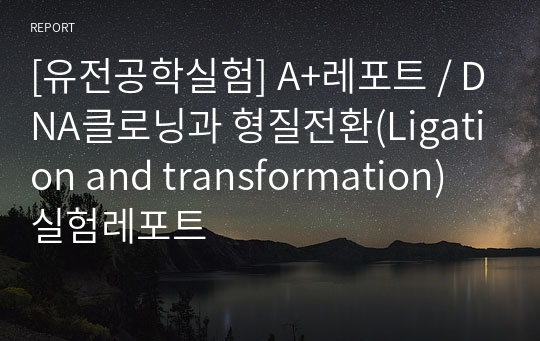 [유전공학실험] A+레포트 / DNA클로닝과 형질전환(Ligation and transformation) 실험레포트