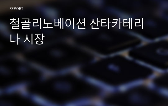 철골리노베이션 산타카테리나 시장