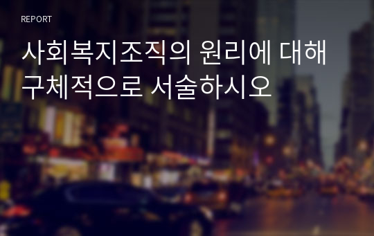 사회복지조직의 원리에 대해 구체적으로 서술하시오