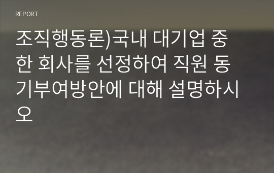 조직행동론)국내 대기업 중 한 회사를 선정하여 직원 동기부여방안에 대해 설명하시오