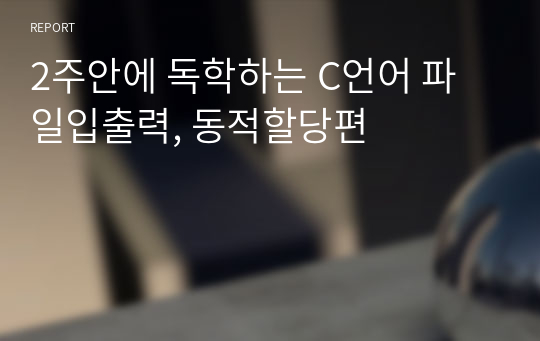 2주안에 독학하는 C언어 파일입출력, 동적할당편