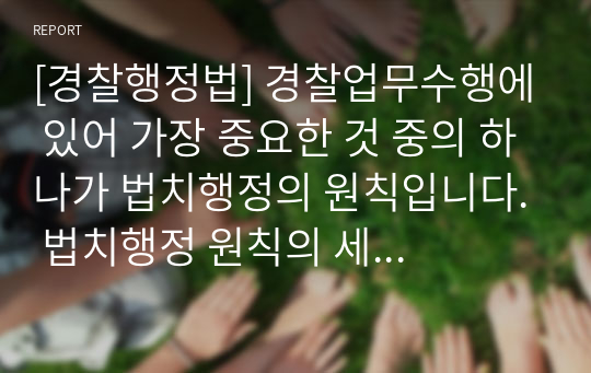 [경찰행정법] 경찰업무수행에 있어 가장 중요한 것 중의 하나가 법치행정의 원칙입니다. 법치행정 원칙의 세부원칙을 정리하고 그 구제제도를 설명하시오.