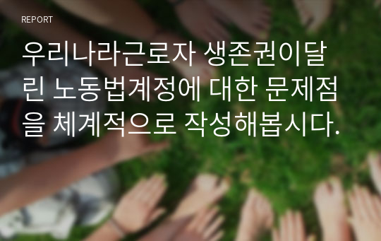 우리나라근로자 생존권이달린 노동법계정에 대한 문제점을 체계적으로 작성해봅시다.