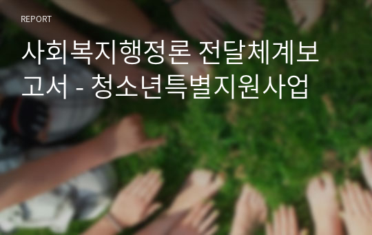 사회복지행정론 전달체계보고서 - 청소년특별지원사업