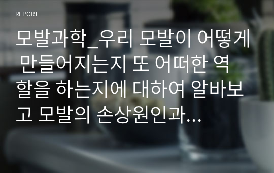 모발과학_우리 모발이 어떻게 만들어지는지 또 어떠한 역할을 하는지에 대하여 알바보고 모발의 손상원인과 손상사례를 설명하시오