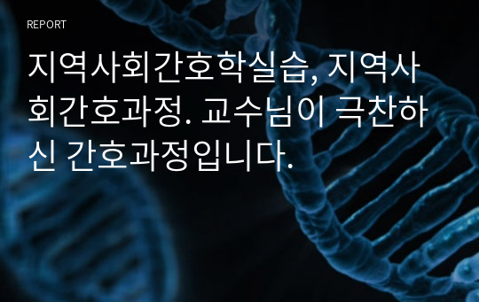 지역사회간호학실습, 지역사회간호과정. 교수님이 극찬하신 간호과정입니다.