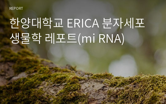 한양대학교 ERICA 분자세포생물학 레포트(mi RNA)