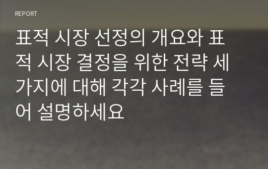 표적 시장 선정의 개요와 표적 시장 결정을 위한 전략 세 가지에 대해 각각 사례를 들어 설명하세요