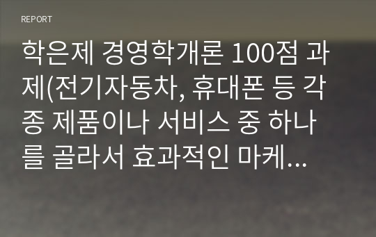 학은제 경영학개론 100점 과제(전기자동차, 휴대폰 등 각종 제품이나 서비스 중 하나를 골라서 효과적인 마케팅믹스를 생각해보자.)